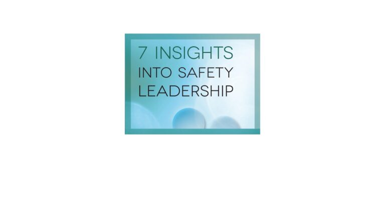 7 Insights Into Safety Leadership Book