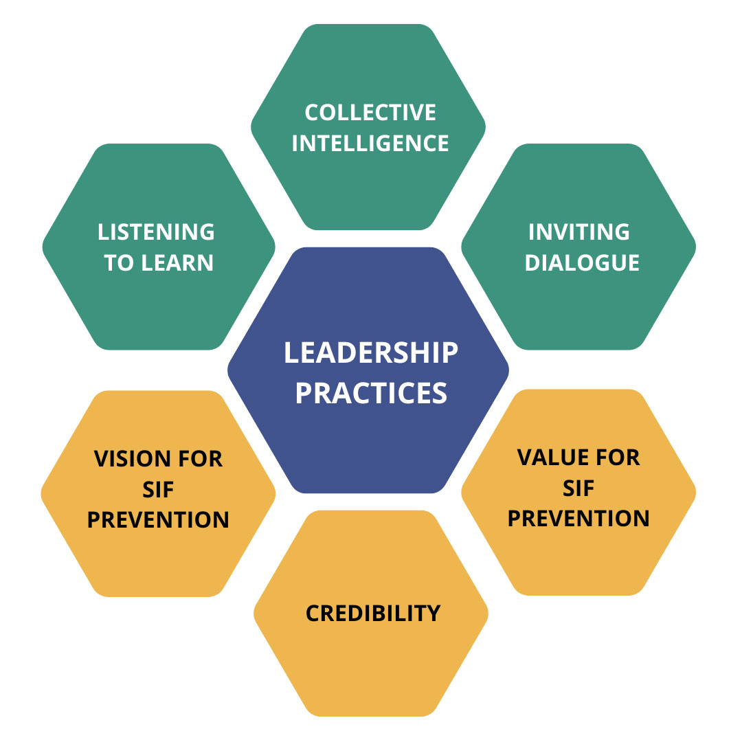 Safety Leadership diagram